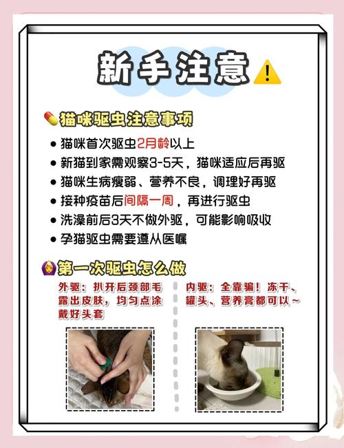 视频：猫咪产后多久可以驱虫？