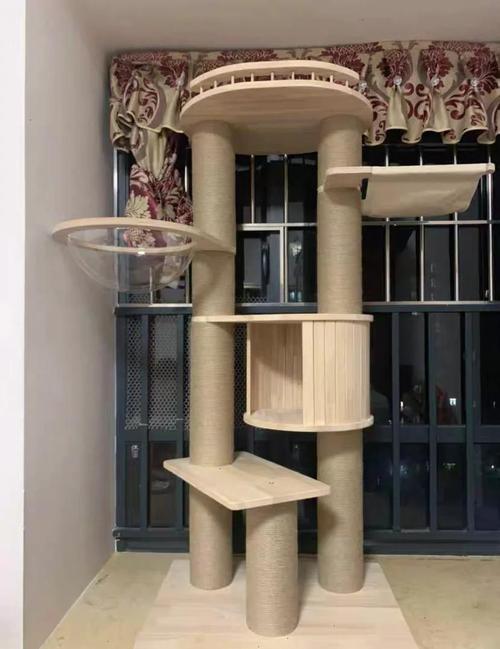 视频：猫咪为什么喜欢爬猫爬架呢？