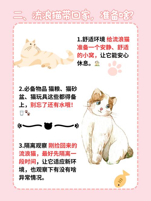 视频：猫咪为什么总是从外面叼东西回来？