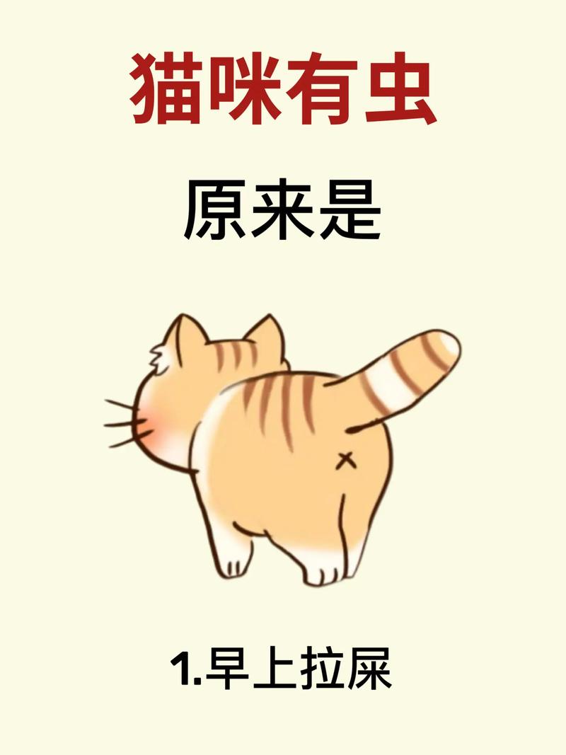 视频：猫咪体内有虫的症状表现有哪些？