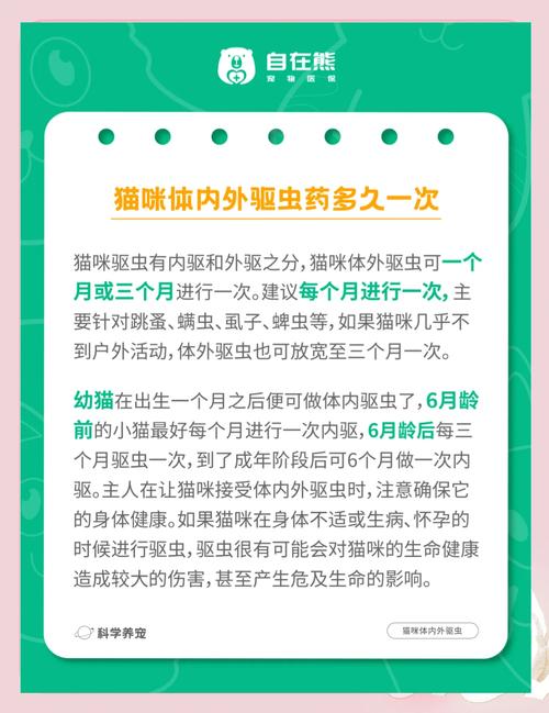 视频：猫咪产后多久可以驱虫？