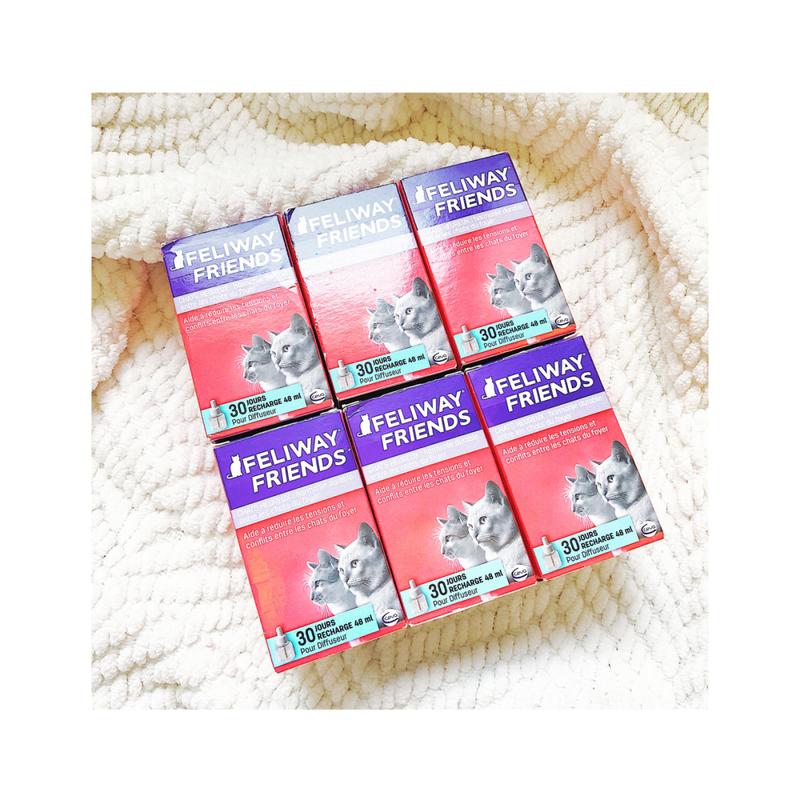 视频：猫咪使用的费洛蒙是什么？