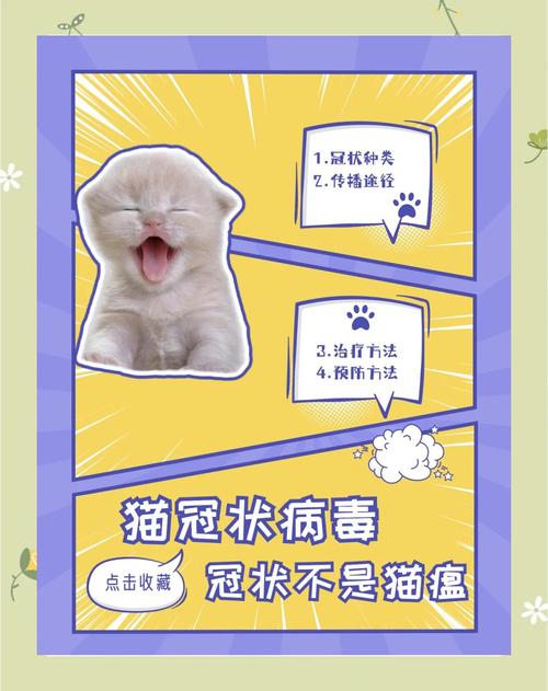视频：猫咪冠状病毒会自愈吗？