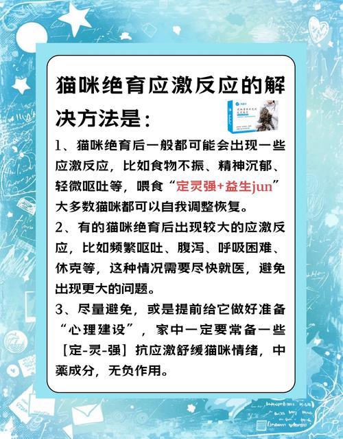 视频：猫咪到新环境有应激反应怎么缓解？