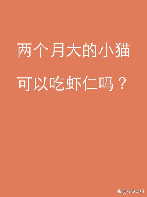 视频：猫咪可以吃虾仁吗？