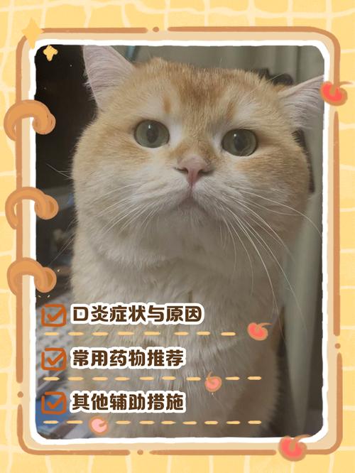 视频：猫咪口腔炎用什么药比较管用呢？