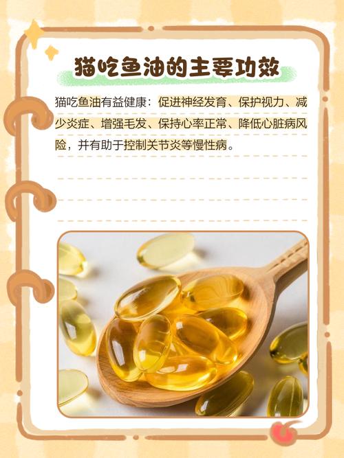 视频：猫咪可以吃人吃的鱼油吗？