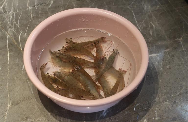 视频：猫咪可以吃虾仁吗？