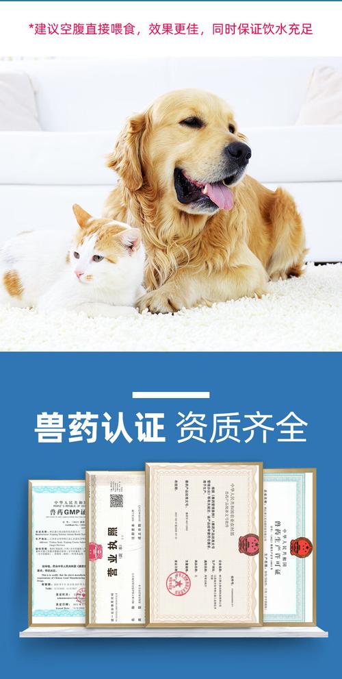 视频：猫咪可以吃阿苯达唑片吗？