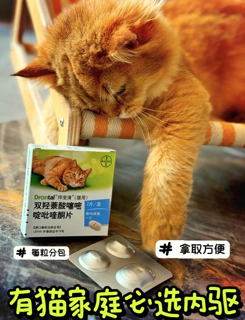视频：猫咪吃了体内驱虫药后死亡是怎么回事？