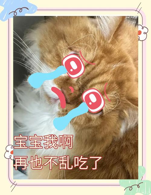 视频：猫咪吃发霉的东西为什么没事呢？