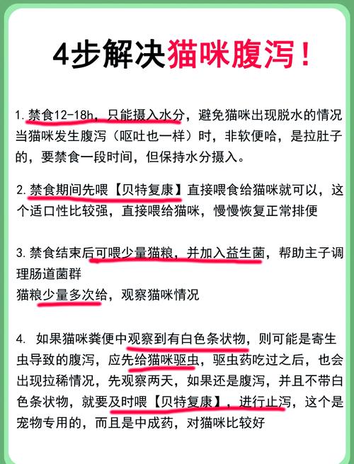 视频：猫咪吃完内驱药后多久会拉肚子？