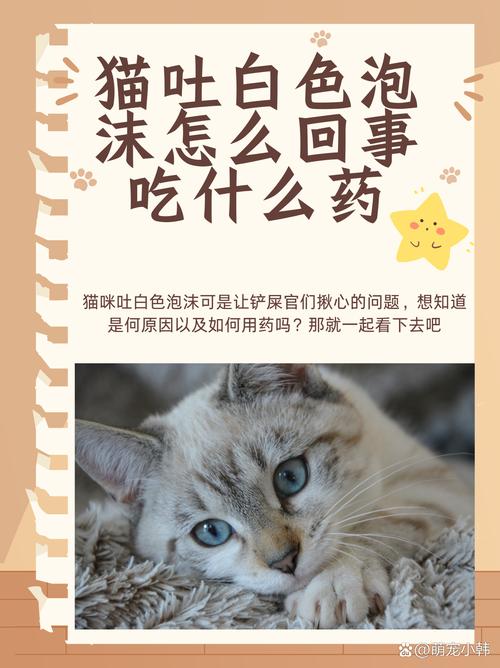 视频：猫咪吃完内驱药后多久会拉肚子？