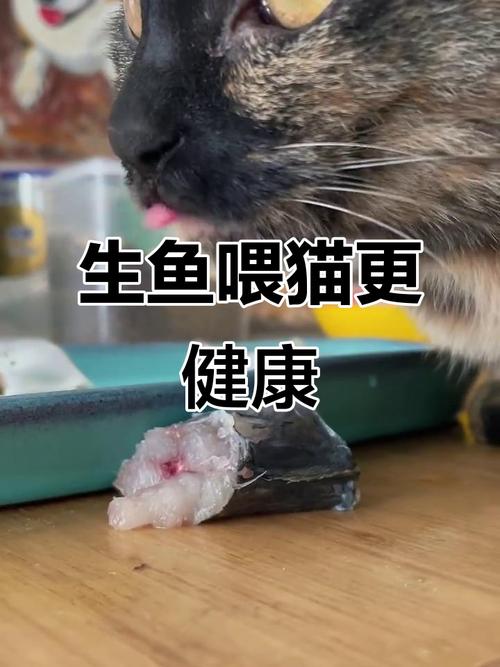 视频：猫咪吃生鱼会怎么样？
