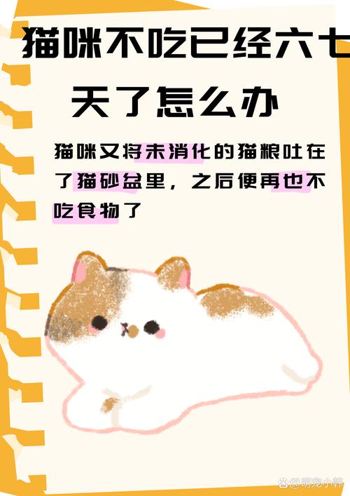 视频：猫咪呕吐未消化的食物怎么办？