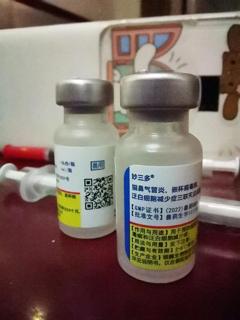 视频：猫咪多打了一针妙三多疫苗会怎么样呢？