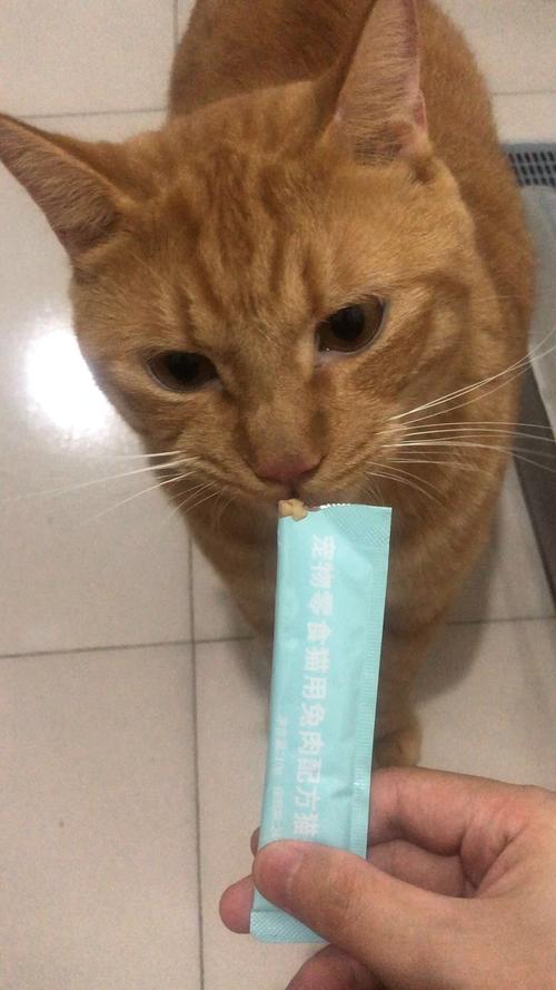视频：猫咪多大可以吃猫条？