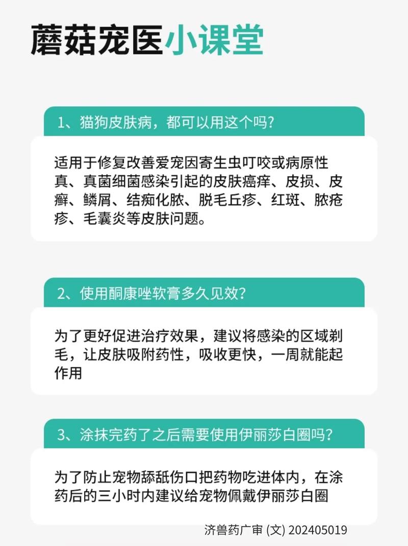 视频：猫咪得了猫癣去药店买什么药呢？