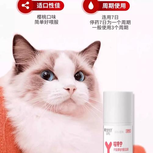 视频：猫咪得猫癣吃什么药？