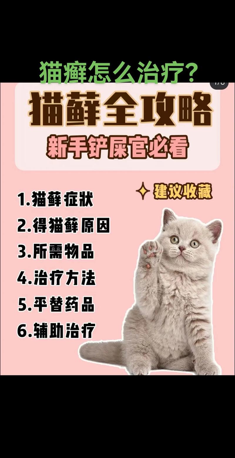 视频：猫咪得猫癣和螨虫怎么处理呢？