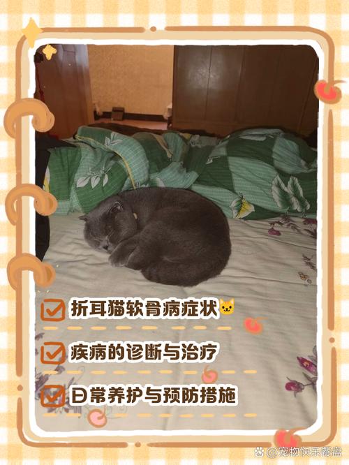 视频：猫咪患有软骨症的表现？