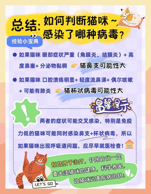 视频：猫咪感染疱疹病毒多久能好？