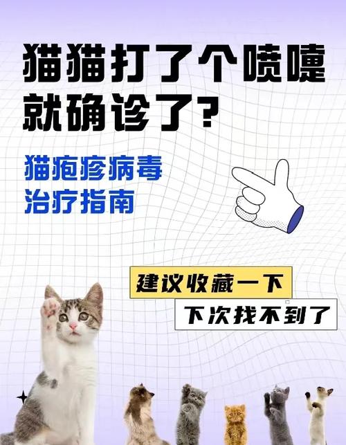 视频：猫咪感染疱疹病毒多久能好？