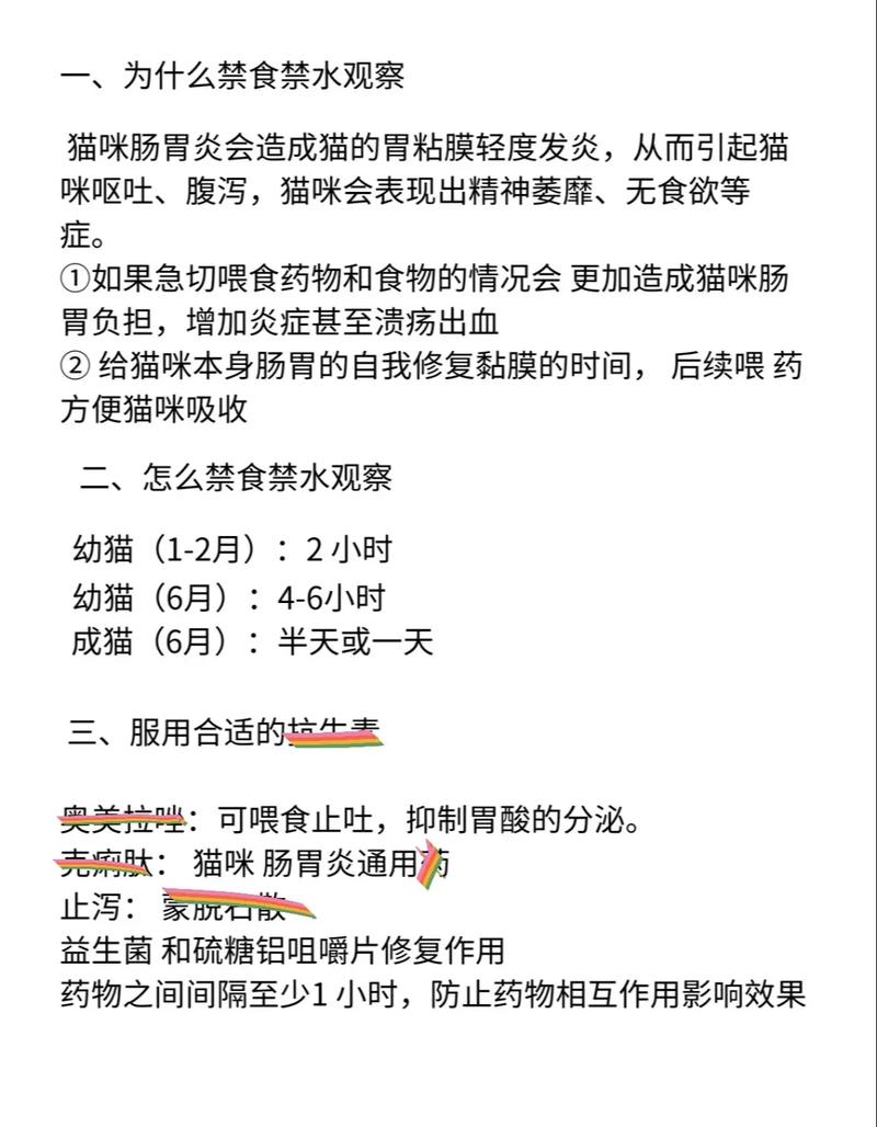 视频：猫咪拉稀需要禁食禁水吗？