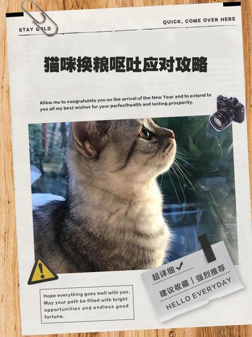 视频：猫咪换粮不过渡会死亡吗？