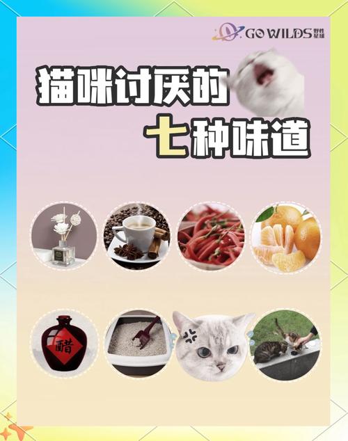 视频：猫咪最怕什么气味？