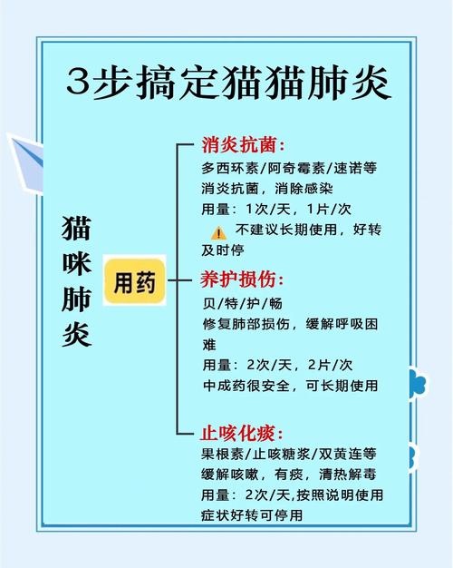 视频：猫咪支气管炎怎么治疗呢？