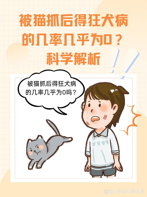 视频：猫咪狂犬病发作多久会死？