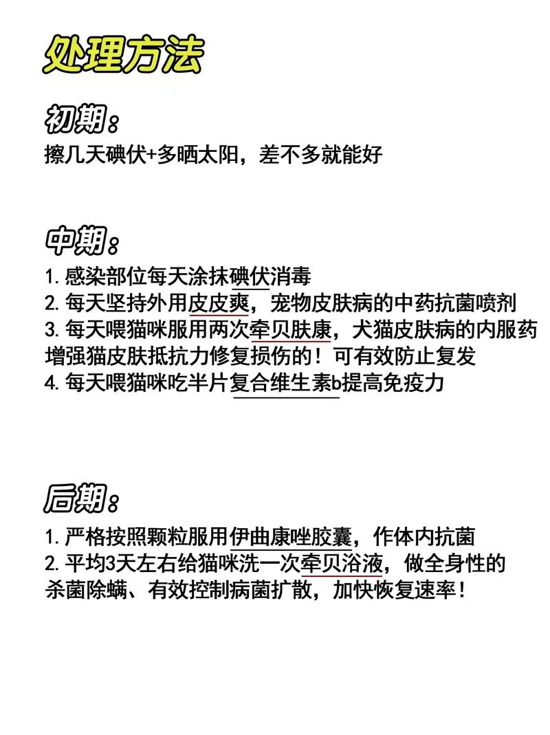 视频：猫咪猫癣用达克宁怎么样呢？