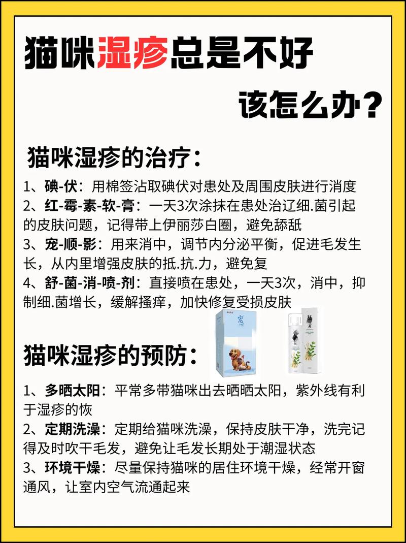 视频：猫咪皮肤病老反复该怎么办呢？