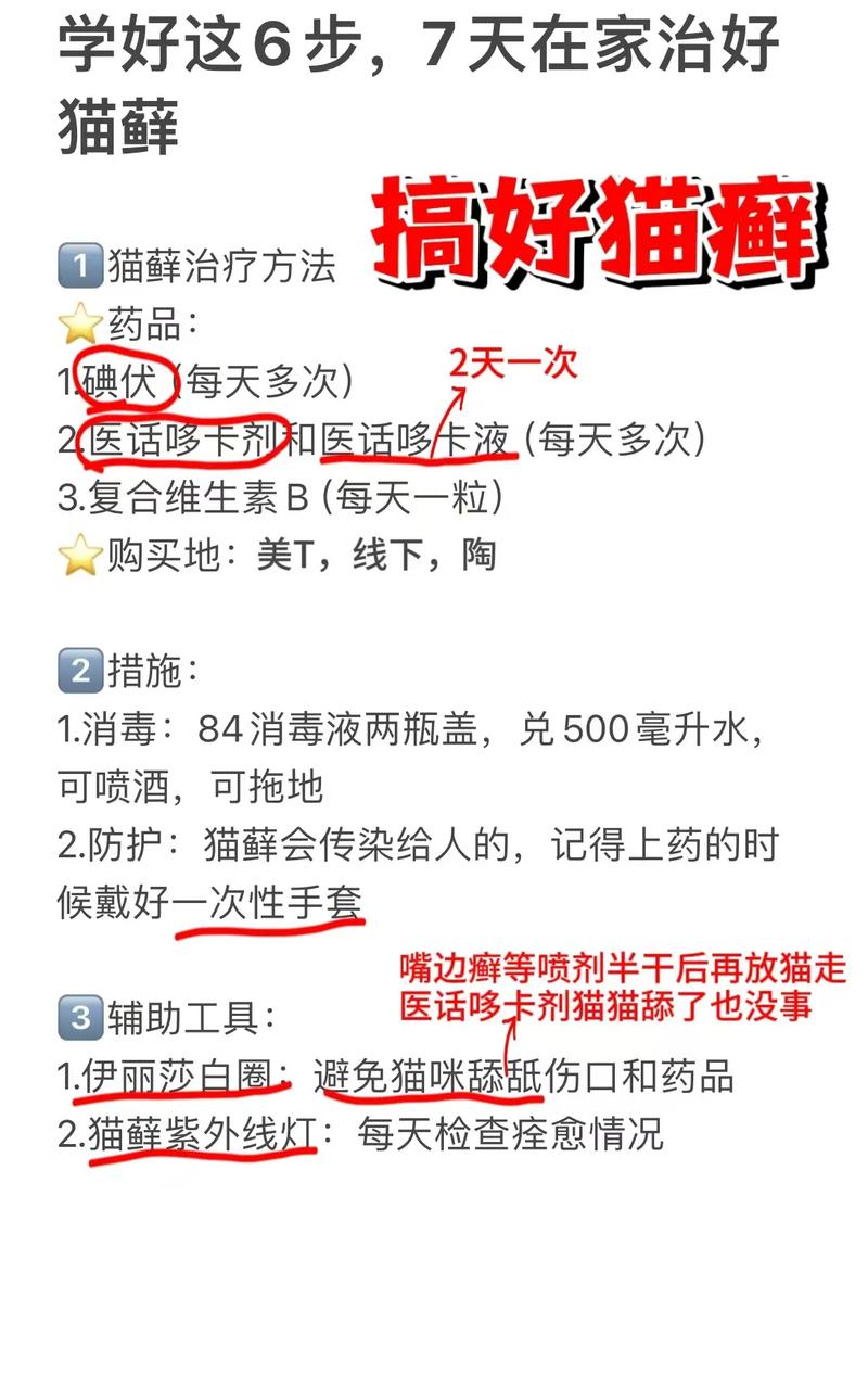 视频：猫咪皮肤病该怎么用药呢？