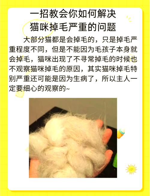 视频：猫咪眉毛位置毛发稀疏是怎么回事？