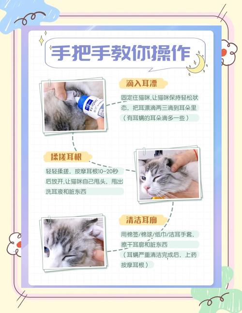 视频：猫咪耳螨治疗的步骤是怎么样的？