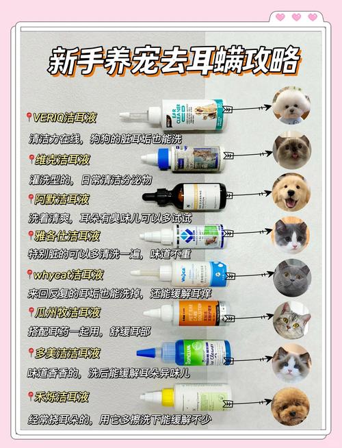 视频：猫咪耳螨治疗的步骤是怎么样的？