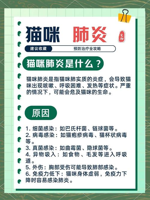 视频：猫咪肺炎是怎么样的？