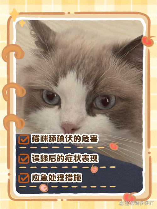 视频：猫咪舔了碘伏会怎样呢？
