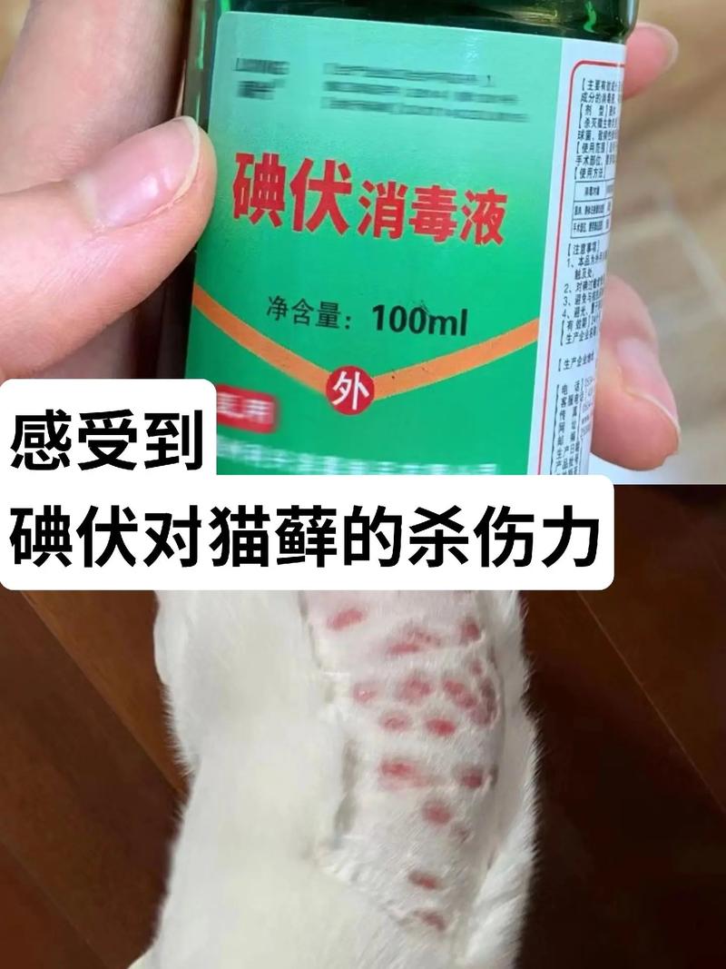视频：猫咪舔了碘伏会怎样呢？