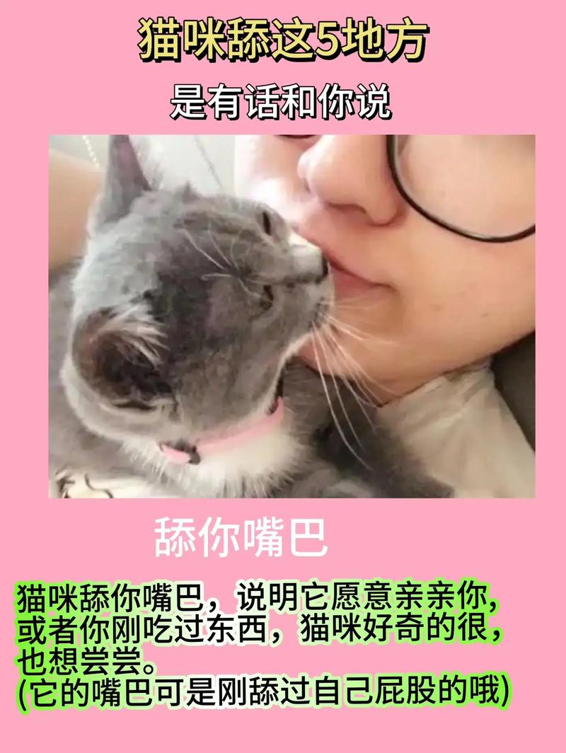 视频：猫咪误舔了百多邦会中毒吗？