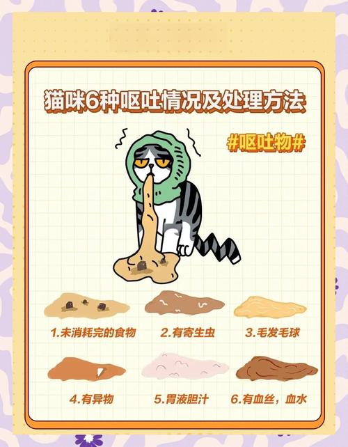 视频：猫咪驱虫后呕吐是怎么回事？