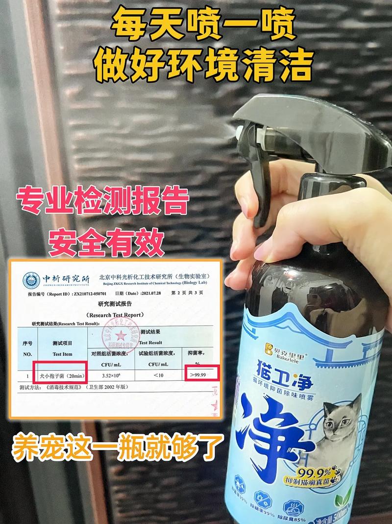 视频：猫咪身上长癣可以洗澡吗？