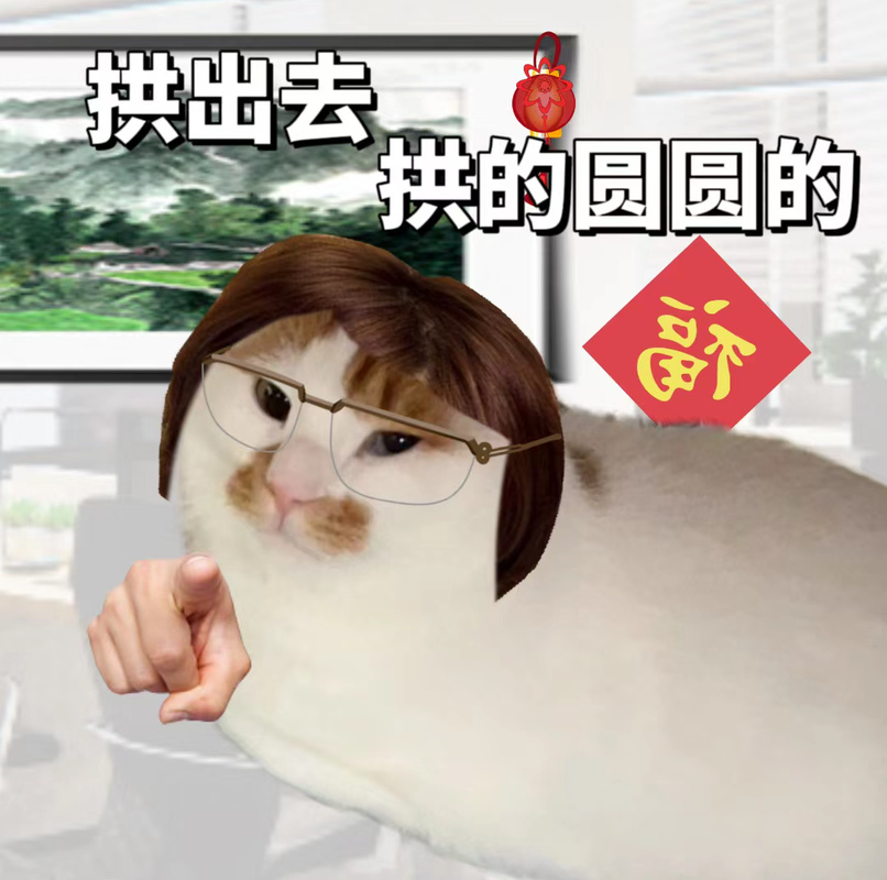 视频：猫咪身体弓起来是什么意思呢？