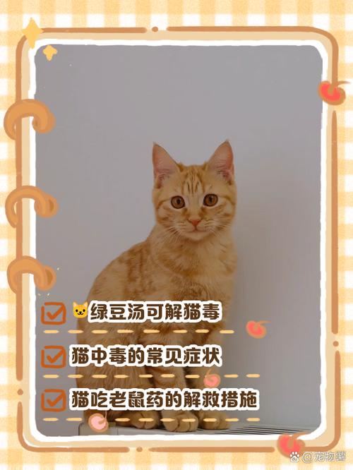 视频：猫咪驱虫药过量中毒了该怎么办？