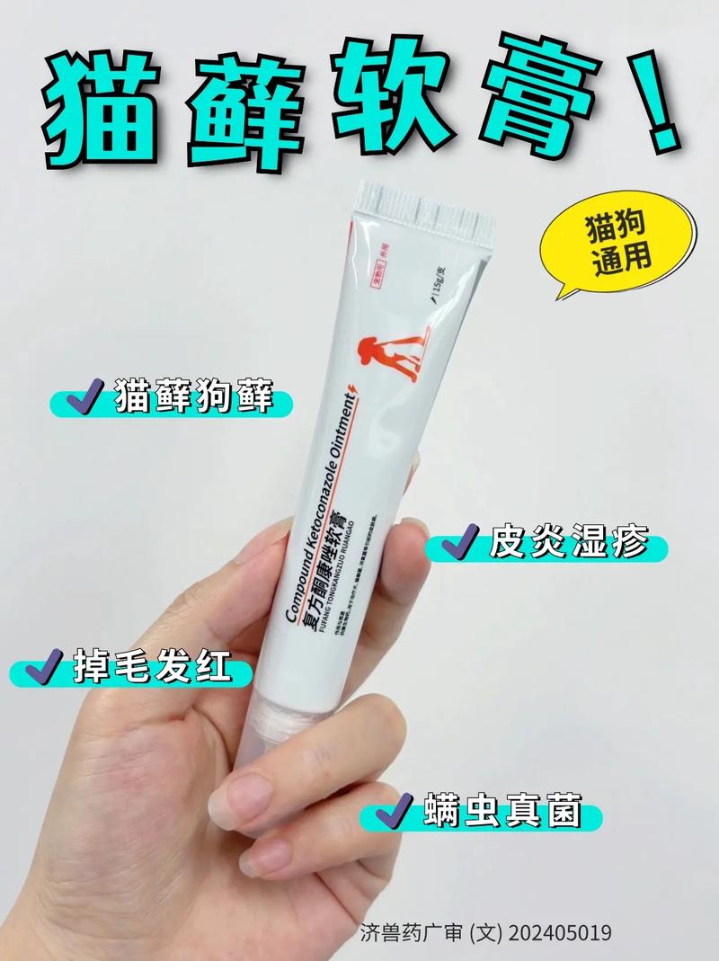 视频：猫咪长了猫癣应该用什么药膏？
