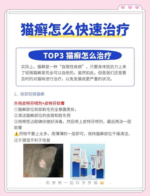 视频：猫咪长猫癣擦什么药？