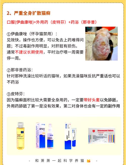 视频：猫咪长猫癣擦什么药？