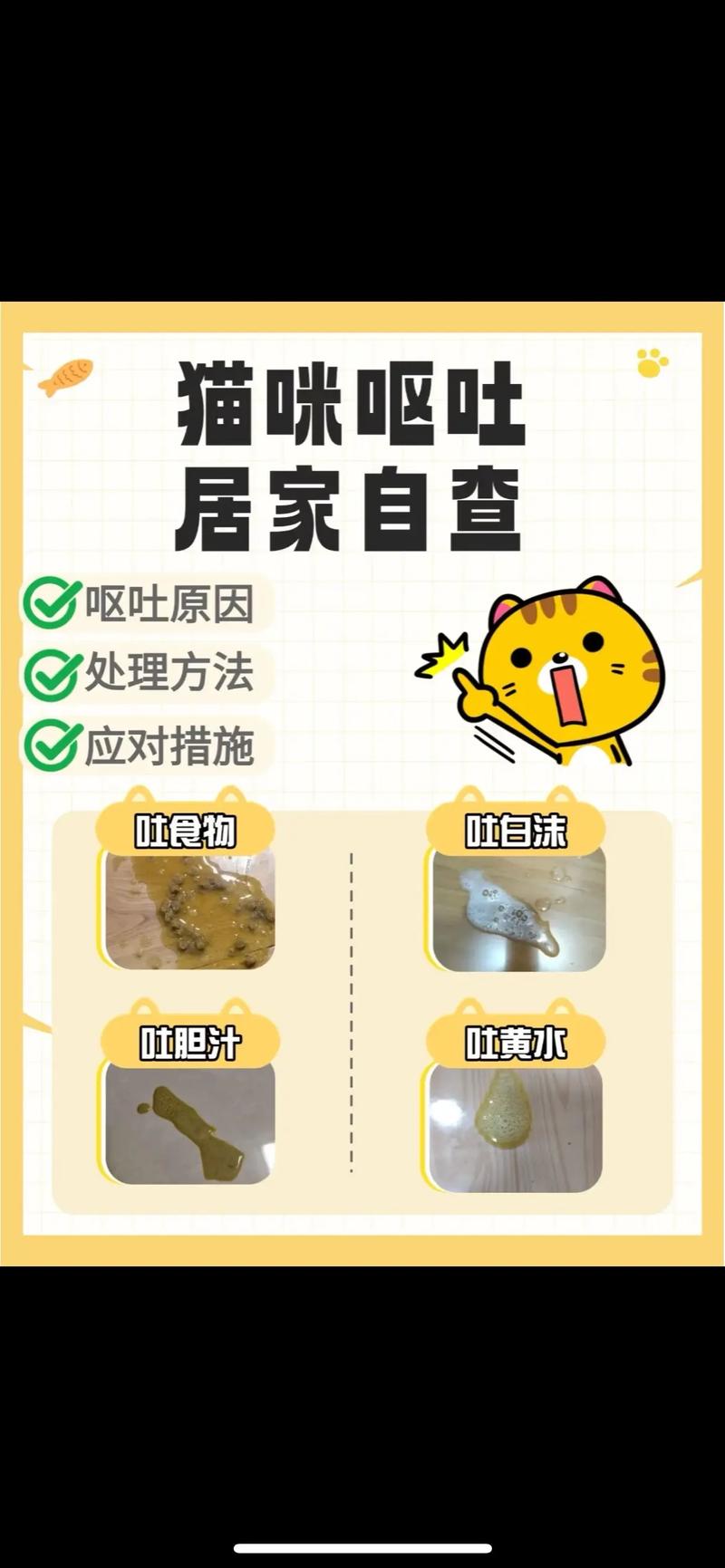视频：猫咪驱虫后呕吐是怎么回事？